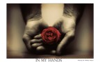 in my hands
