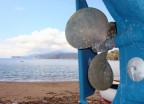 Isola d'elba. Spiaggia di Pareti