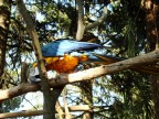 Zoo di Pistoia