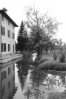 cascina &quot;carnita&quot;