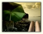Relax serale