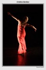 Flamenco #1