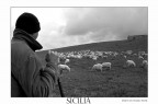 in sicilia