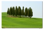 CI-PRESSIamo