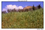 House upon the Hill