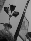 Test di B/N (gioco geometrico)
