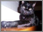 Posa da diva