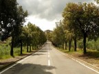 la strada