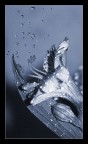 Mi piace fare esperimenti con l'acqua e le basse esposizioni...