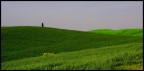 colline