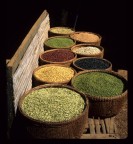 cambogia spezie