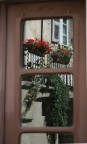 Mirror flowers....