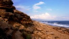 mare