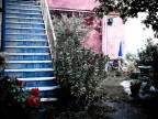 * o' secret garden *