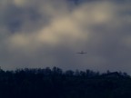 * la collina dei conigli *