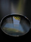 riflessi 2