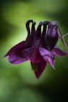 EF 100mm f/2.8 Macro USM