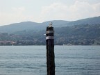 Gabbiano di vedetta