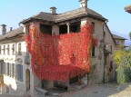 Ederea rossa