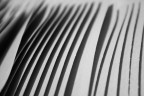 Onde di carta