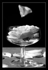 Decadence#2
