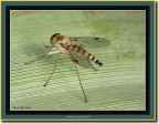 &quot;Micro@one&quot;