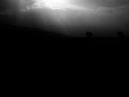 colline irlandesi