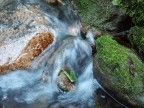 Acqua