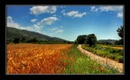 Dolce terra di Ciociara