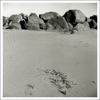 Spiaggia