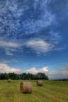 il cielo sui covoni