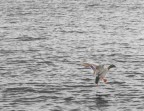 movimento?