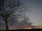 SONY DSC P93A Cyber-Shot