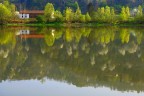 Riflessi
