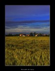 Trionfi di luce