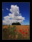 Cieli...di Ravenna