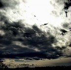 La pace dopo la tempesta Cap.2 La pace dopo la tempesta Cap.2