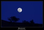 Moon light