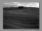 Magica Toscana