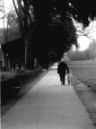 il rientro