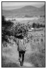 il lavoro dei piccoli