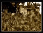 Una vecchia cascina abbandonata nel mezzo del Monte Somma.
L'ho invecchiata in pw. 
Suggerimenti e critiche attese