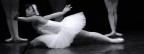 Il Cigno#