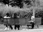 Diversi modi di vedere