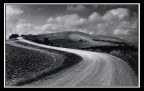 terre senesi