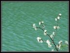 Primavera al lago