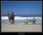 Surfisti