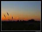 Tramonto senza Fili