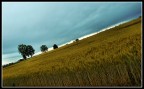 Una giornata storta