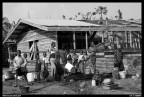 Life in Cameroon